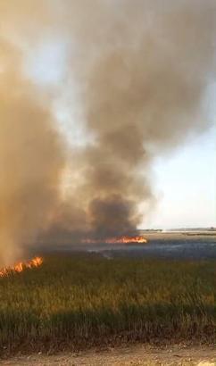 Karamık Gölü'nde yangın