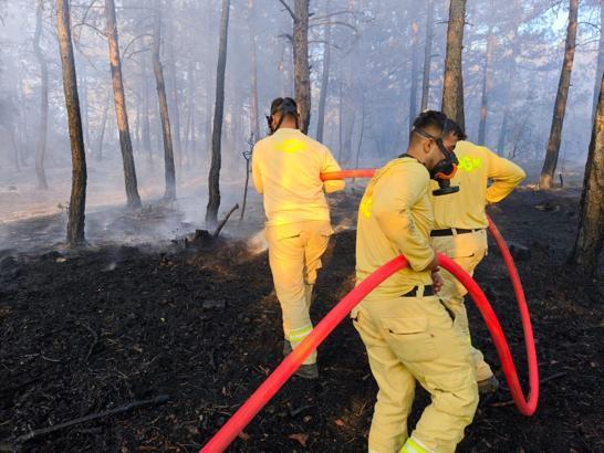 Bolu'da 8,5 saatte kontrol altına alınan orman yangınında soğutma çalışmaları sürüyor