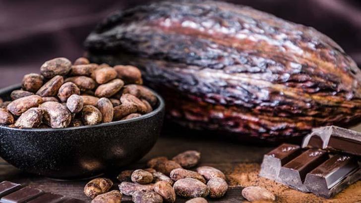 Bilim insanları mükemmel çikolatanın formülünü keşfetti