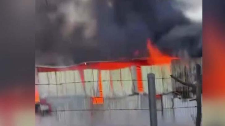 Bursa'da çiftlikte çıkan yangın 1 saatte kontrol altına alındı