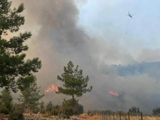Muğla'da orman yangını (2)