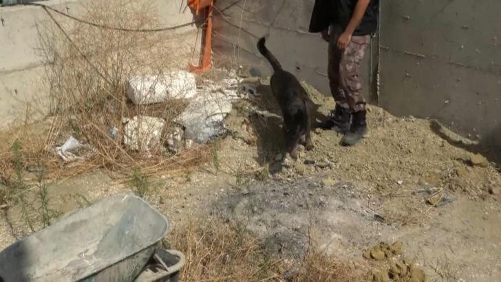 İstanbul - Büyükçekmece'de villa inşaatında bulunan ceset soruşturması: 3 şüpheli tutuklandı