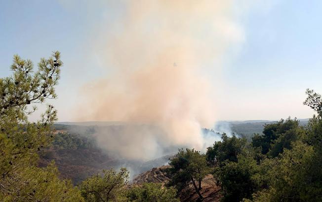 Adana’da orman yangını