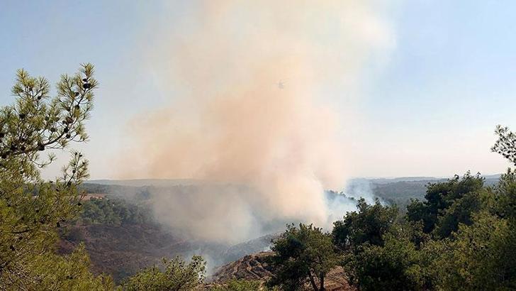Adana’da orman yangını