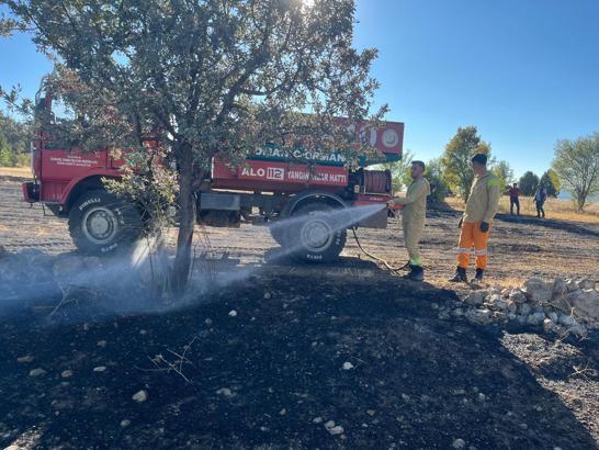 Domaniç'te anız yangını ormana sıçramadan kontrol altına alındı