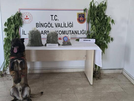 Bingöl’de 4 noktada uyuşturucu operasyonu