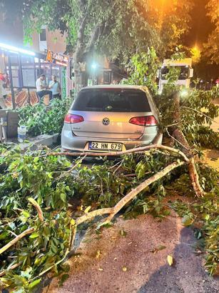 Edirne'de ağaç dalı otomobil ve minibüsün üzerine devrildi