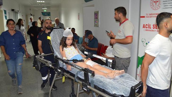 Düğüne giden çocuğu köpek ısırdı