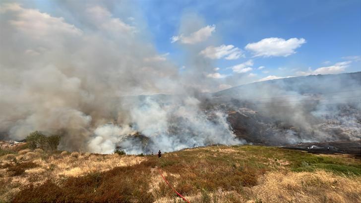 Kocaeli'de ot yangını; ekipler müdahale ediyor