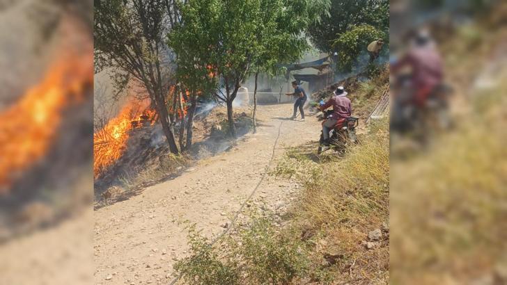 Malatya'da orman yangını
