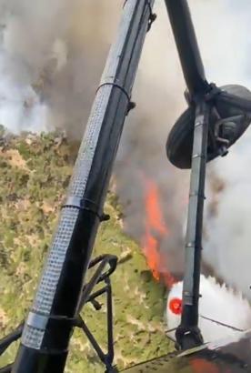 Denizli'de orman yangını