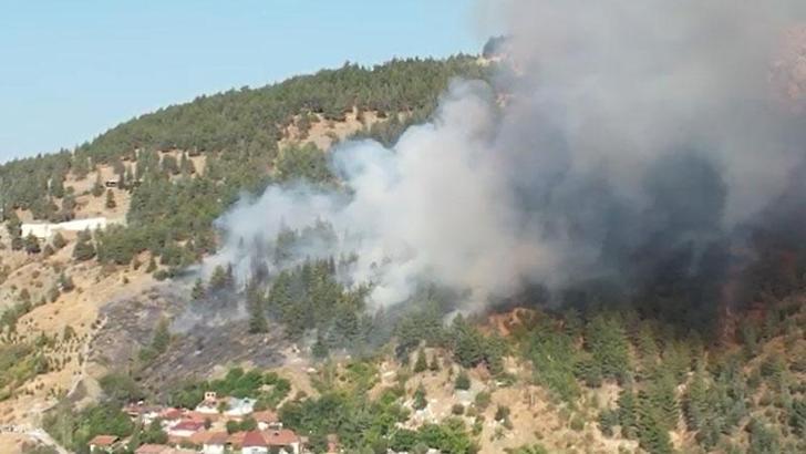 Tokat’ta orman yangını