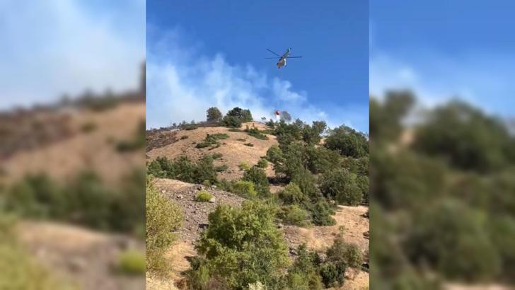 Malatya'da orman yangını (2)