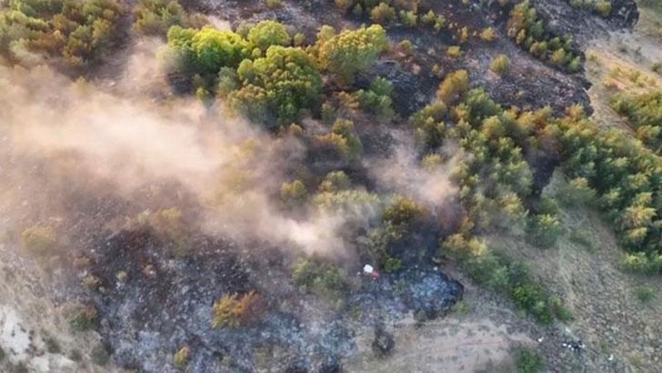 Ordu’da orman yangın 4 saatte söndürüldü