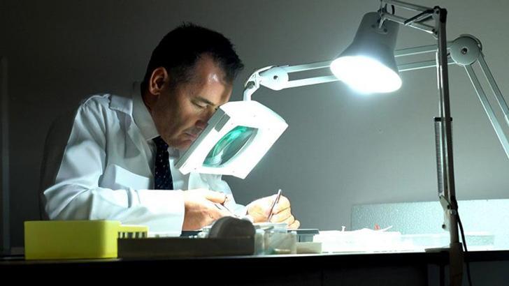 TÜBİTAK destekli projesiyle UV ışığının damar gevşetici sırrı araştırılacak