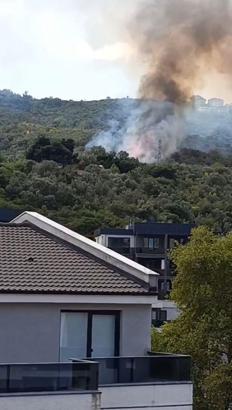 Bursa'da zeytinlikte çıkan yangın 1 saatte kontrol altına alındı