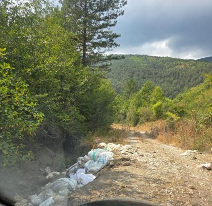 Tavuk leşlerini çuvallarla yayla yoluna attılar