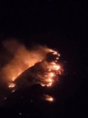 Marmara Adası'nda orman yangın