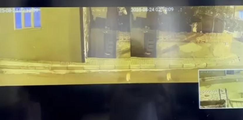 İstanbul - Sancaktepe’de alacak verecek kavgasında kurşunlar ev ve araçlara isabet etti; kedi öldü