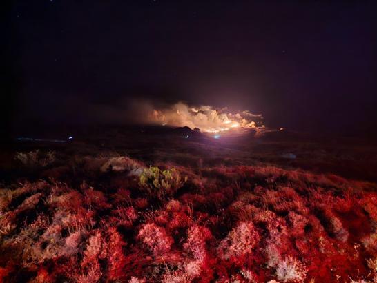 Marmara Adası'nda orman yangın (2)
