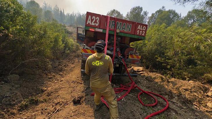 OGM: Yangınların çoğu ihmal ve dikkatsizlikten kaynaklandı