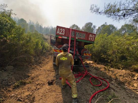 OGM: Yangınların çoğu ihmal ve dikkatsizlikten kaynaklandı