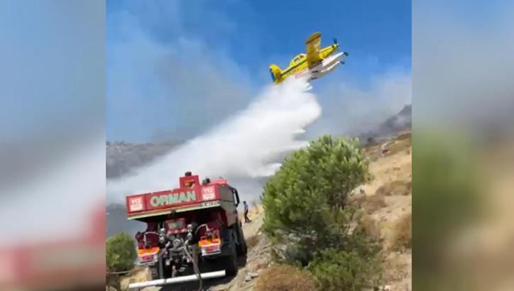 Marmara Adası'ndaki orman yangınına müdahale sürüyor (2)