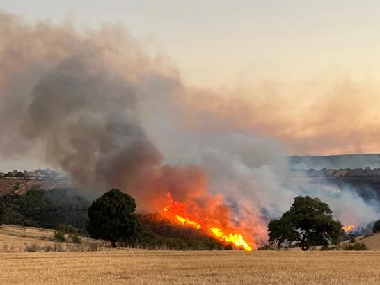 Balıkesir’de orman yangını / Ek fotoğraflar