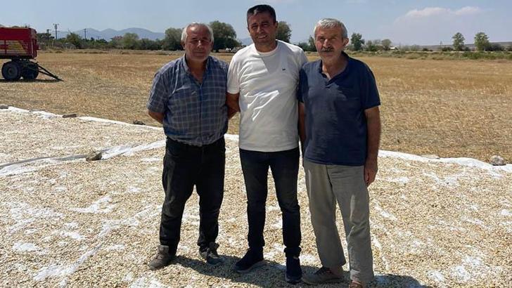 Polatlı’da kabak çekirdeği hasadı başladı