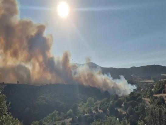 Susurluk'taki orman yangını 12 saat sonra kontrol altına alındı