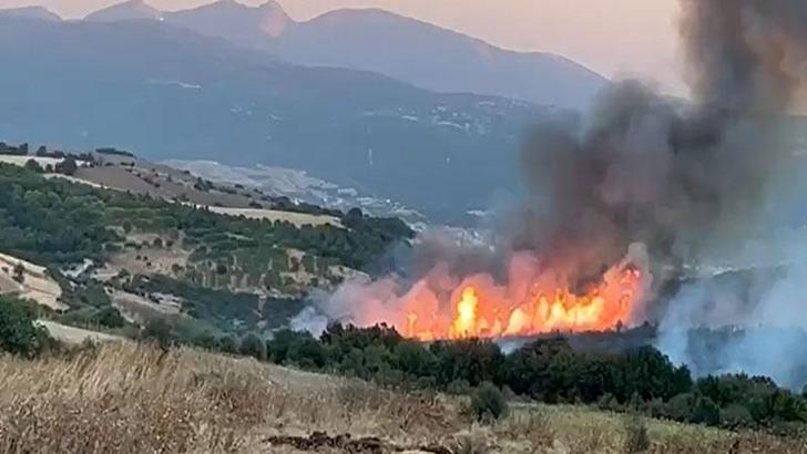 Susurluk'taki orman yangını 12 saat sonra kontrol altına alındı