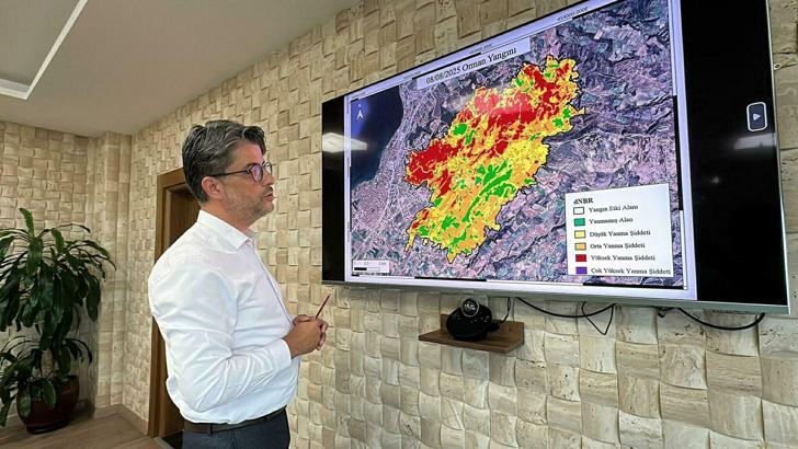 Çanakkale'deki iki büyük yangının zararı uydu fotoğraflarında /Video eklendi