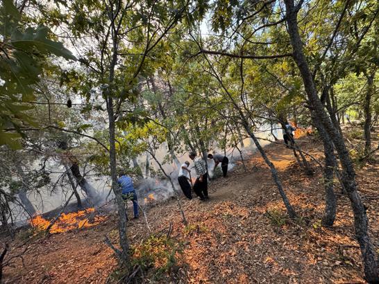 Adana’da orman yangını
