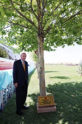 Erdoğan: Yönünü Ankara'ya ve Şam'a dönenler kazanacak / Ek Fotoğraflar