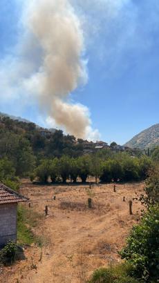 Aydın'da zeytinlikte çıkan yangın 1,5 saatte kontrol altına alındı