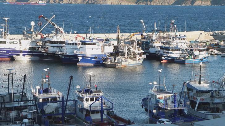 İstanbul - Balıkçılar 1 Eylül'deki yeni av sezonundan umutlu: 'Hamsi lüfer çinekop bol olacak'