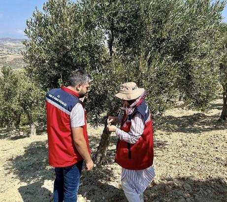 Hatay’da zeytin üreticileri bilgilendirildi