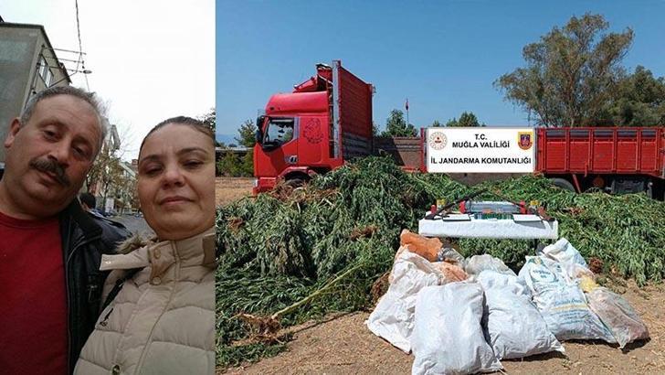 Hint kenevirlerini 50 bin liraya sulamış