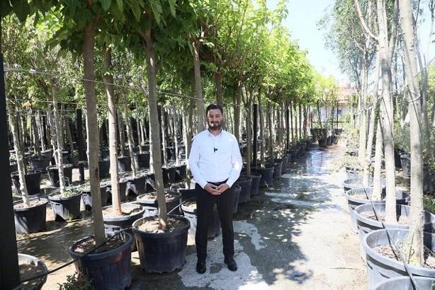 Kağıthane'ye 50 bin ağaç ve 1 milyon metrekare yeşil alan kazandırıldı