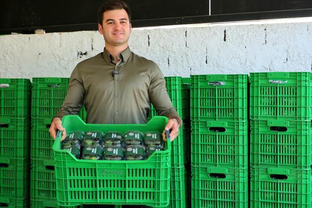 Yeşil Bodrum mandalinası marketlerde ve belediyenin kafelerinde vatandaşla buluşuyor