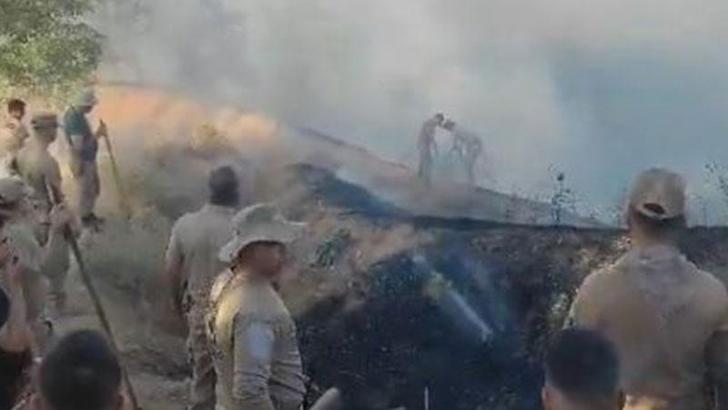 Diyarbakır- Bingöl sınırında orman yangını kontrol altında