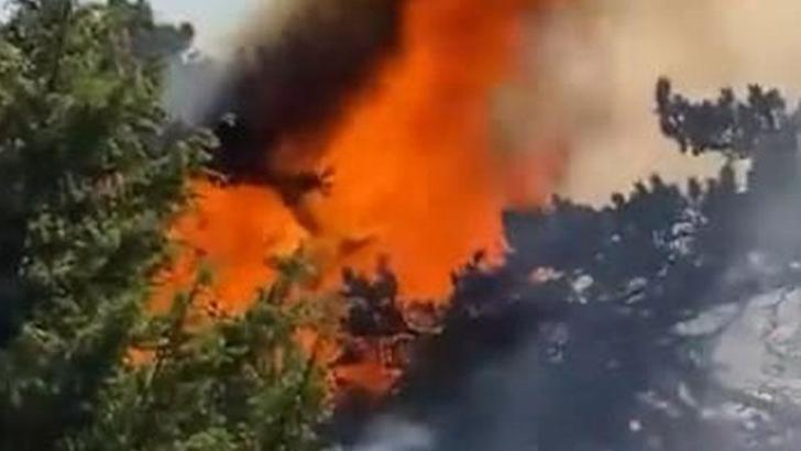 Amasya’da orman yangını