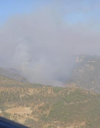 Denizli'deki orman yangını Aydın'a sıçradı