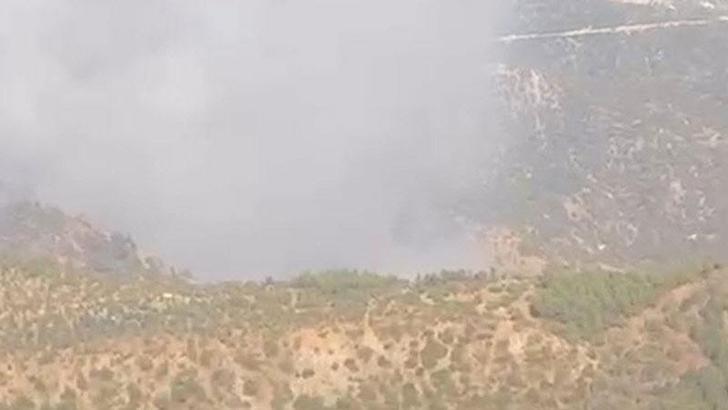 Denizli'deki orman yangını Aydın'a sıçradı