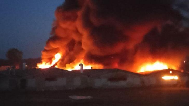 Sakarya'da boya fabrikasında yangın; kontrol altına alındı