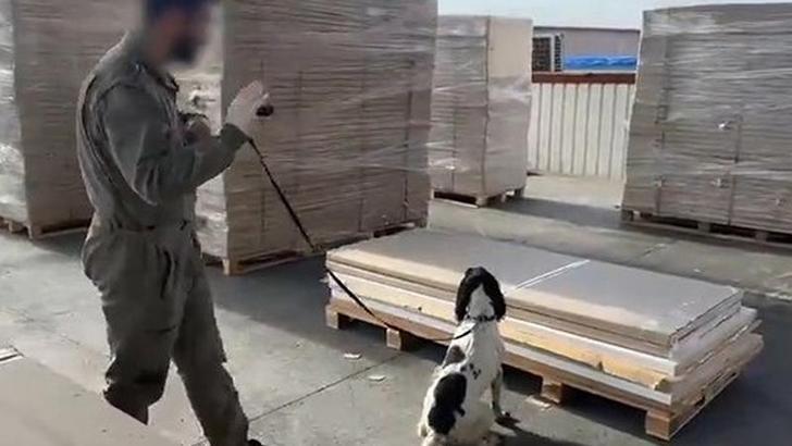 Esrar ve metamfetamine 'gümrük' darbesi