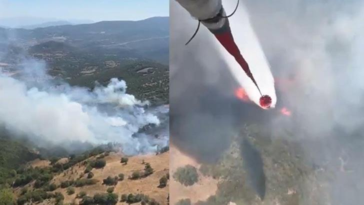Balıkesir'de orman yangını