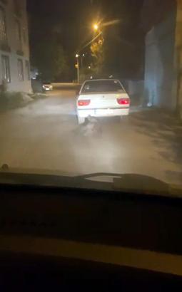 Yaban domuzunu otomobilin arkasına bağlayıp sürükledi
