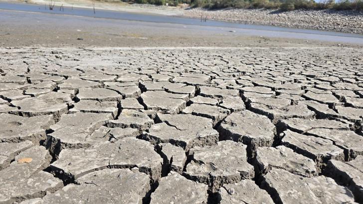 Bursa’daki 42 yıllık Çınarlı Göleti kuruma tehlikesiyle karşı karşıya; balıklar can çekişiyor