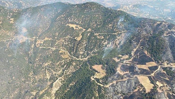 Aydın'daki orman yangını 3'üncü gününde